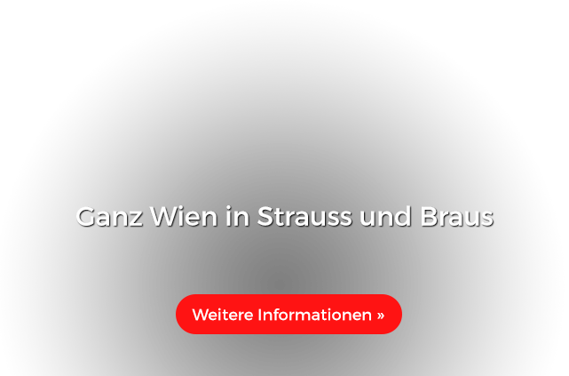 Ganz Wien in Strauss und Braus 
