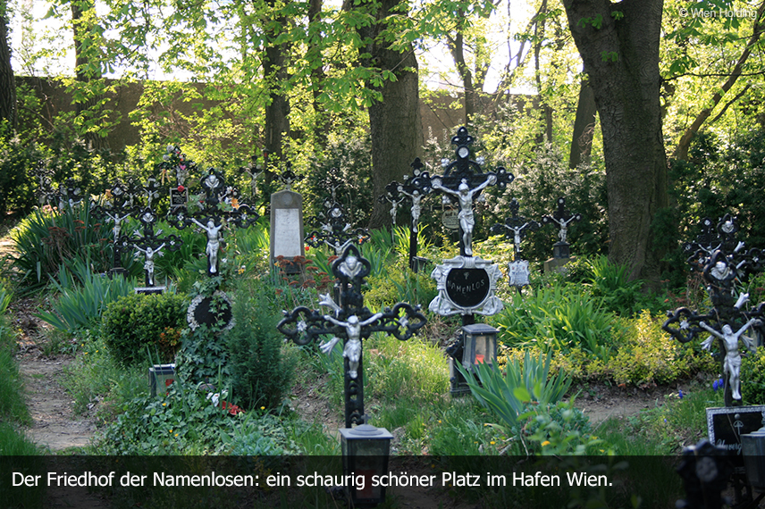 Friedhof der Namenlosen 2016