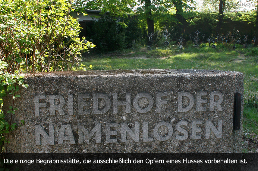 Friedhof der Namenlosen 2016