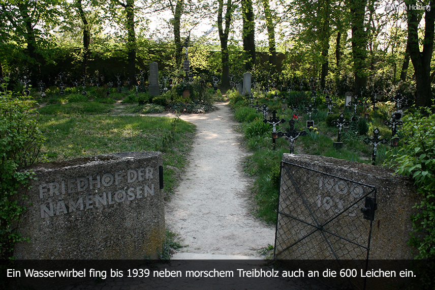Friedhof der Namenlosen 2016