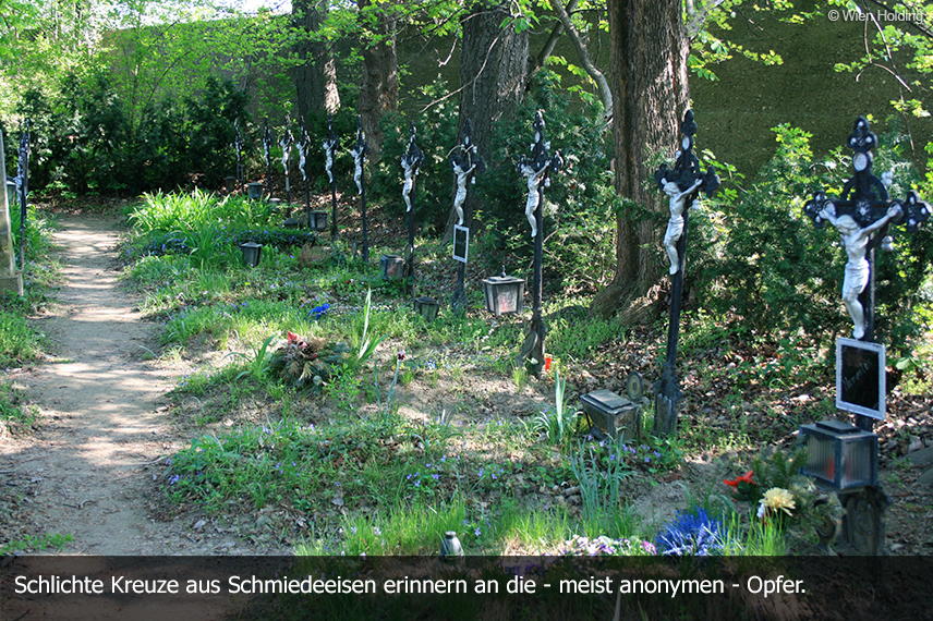 Friedhof der Namenlosen 2016