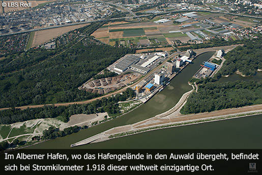 Friedhof der Namenlosen