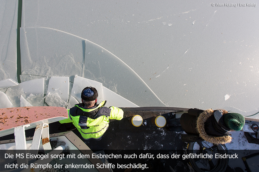 Hafen Wien: Eisbrecher im Einsatz