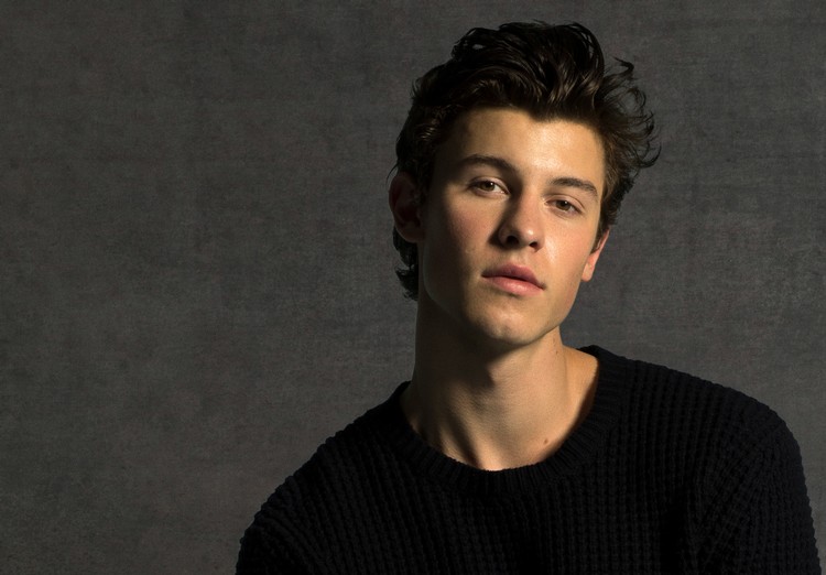 Shawn Mendes am 3. April 2019 in der Wiener Stadthalle © Brian Ziff