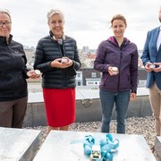Viennabase19: Neuer Lebensraum für 200.000 Bienen