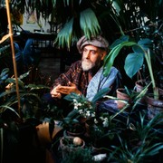 Friedensreich Hundertwassers Meisterklasse an der Wiener Akademie der Bildenden Künste, ca. 1984 © Bernd Lötsch