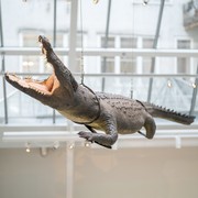 Ausstellungsansicht Die Wiener Rothschilds 2 © David Bohmann