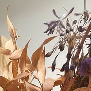 © Akademie der bildenden Künste Wien / Freja Gøtke