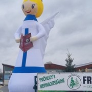 Christbaumverkauf am Großmarkt Wien