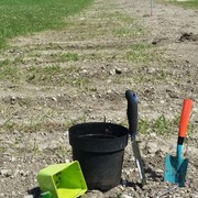 Hafen Wien: Urban Gardening is back