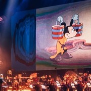 Wiener Stadthalle: Event-Highlights im Mai 2025