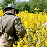 Neue Ausstellung „Sag mir, wo die Blumen sind...“