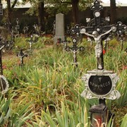 Ein ganz besonderer Ort: Der Friedhof der Namenlosen im Hafen Albern