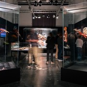 Wiener Stadthalle: Event-Highlights im November 2025