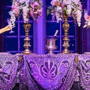 VBW bringen Musicalwelterfolg Disneys DIE SCH&Ouml;NE UND DAS BIEST zur&uuml;ck nach Wien