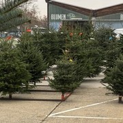 Mit der Wien Holding durch den Advent 2025