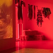 Samen f&uuml;r eine nachhaltige Zukunft